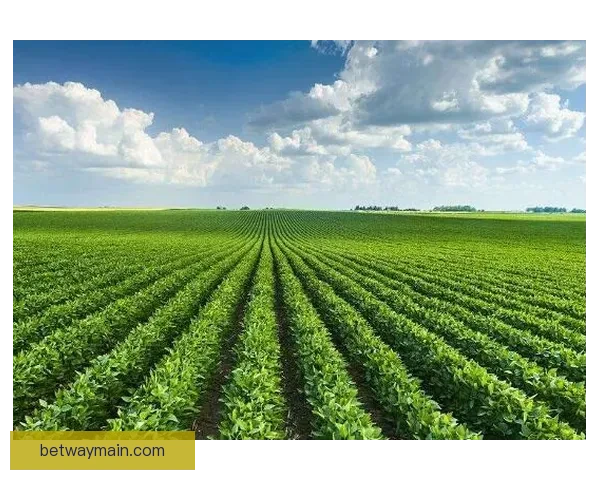 必威体育投注经济发展新趋势与区域合作潜力深度分析