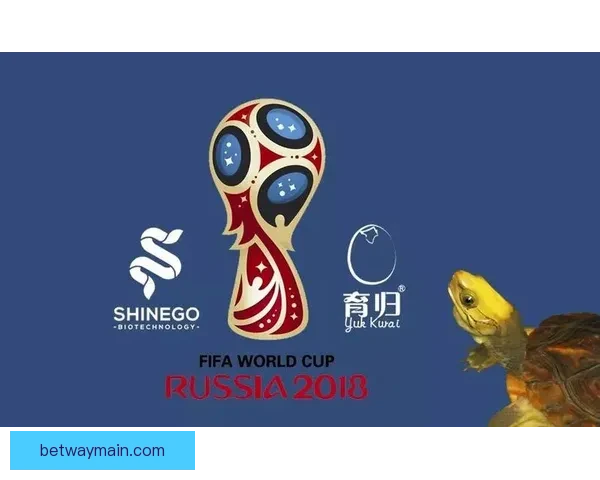 世界杯竞猜技巧揭秘 提升你的投注成功率 轻松赢得大奖